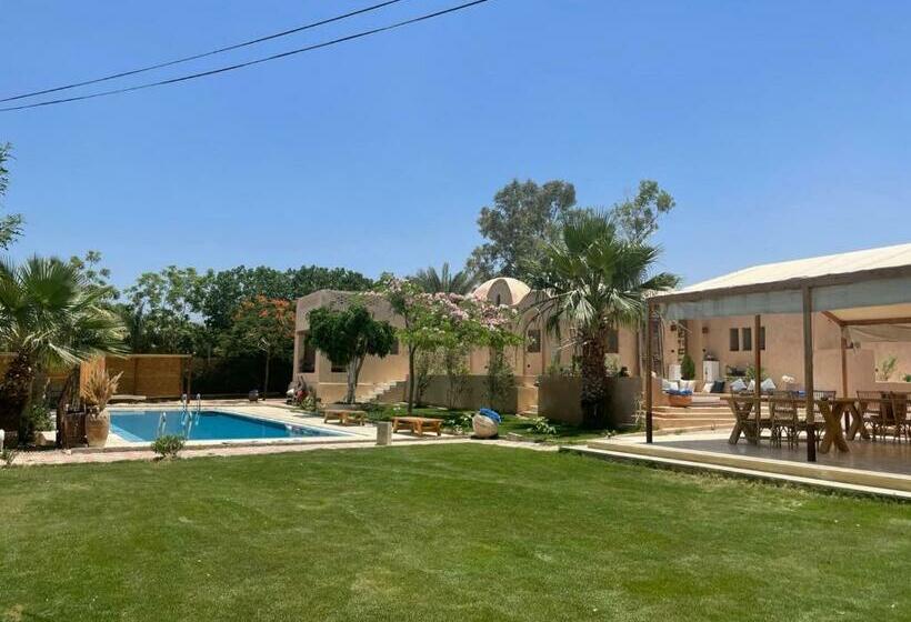 پانسیون Tzila Lodge