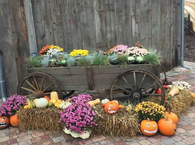 فندق Bergschloßchen