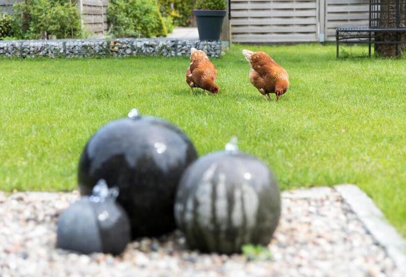 酒店 Hildebrandt S