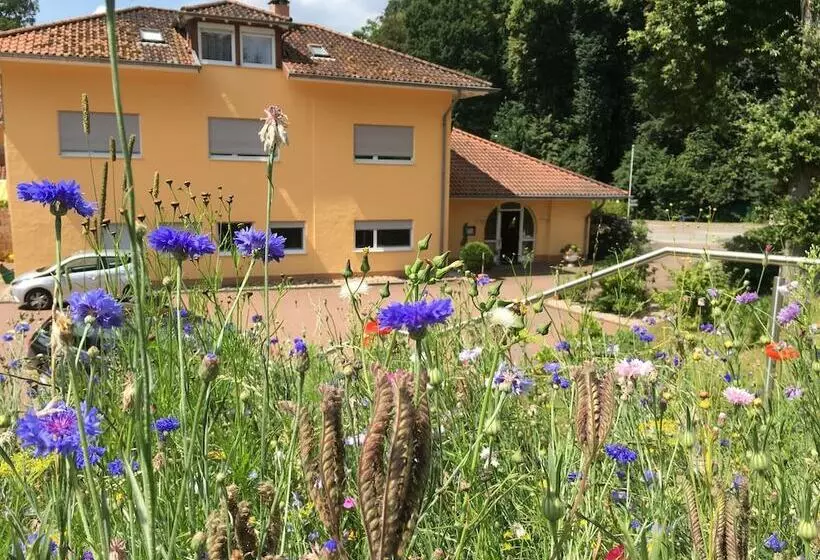 Hotell Hostellerie Bacher