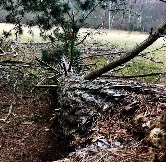 هتل Zwischen Den Seen