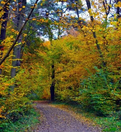 هتل Zwischen Den Seen