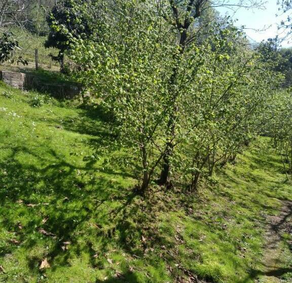 بنسيون Edo S House