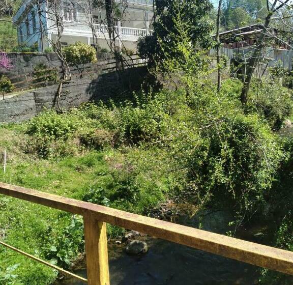 بنسيون Edo S House