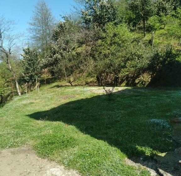 بنسيون Edo S House