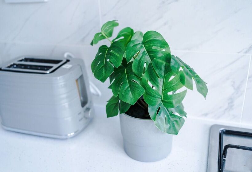 Family Friendly 3 Bed Home Free Parking On Site