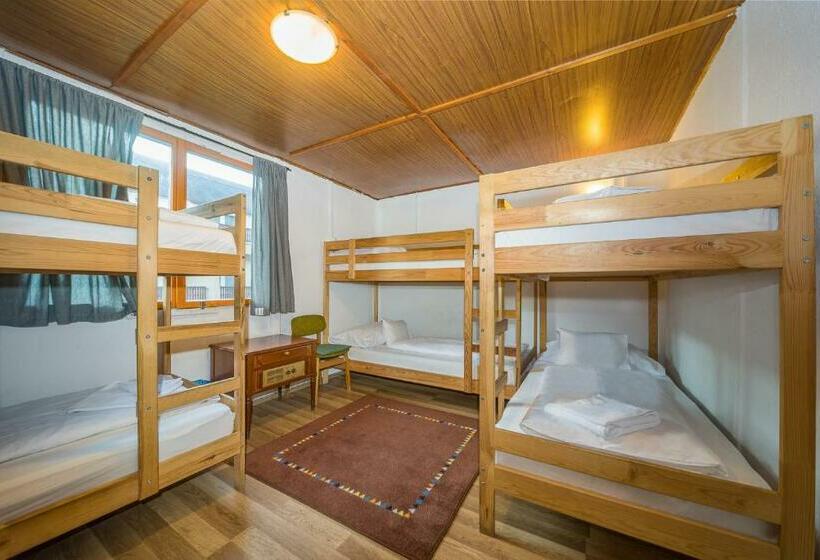 ペンション Lipicai Ifjúsági Szálló