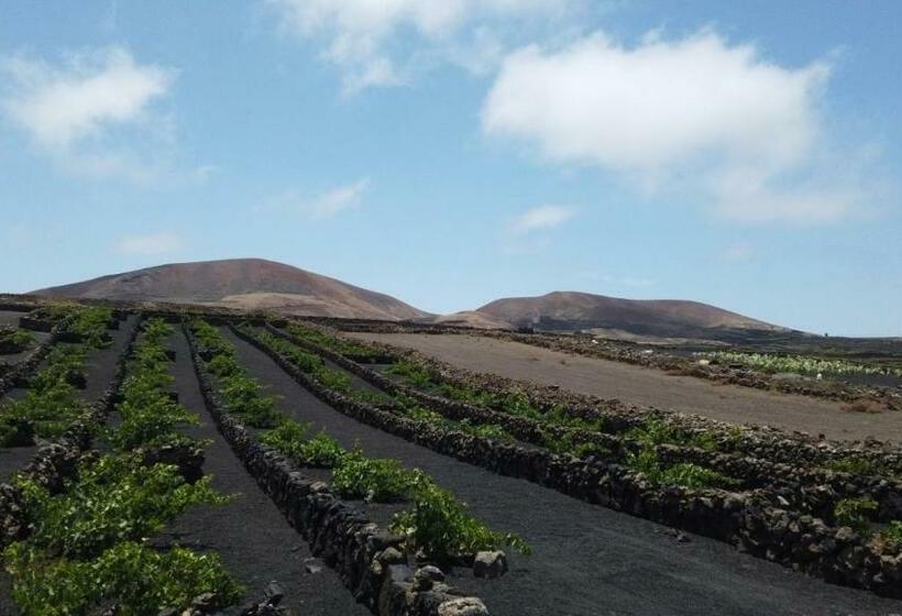 민박 Backpackerroom S