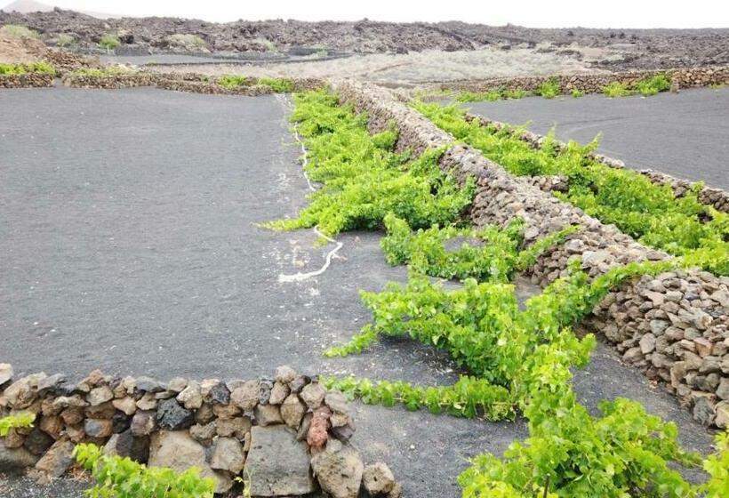 민박 Backpackerroom S