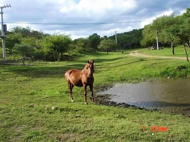 Casa De Campo   Piedra