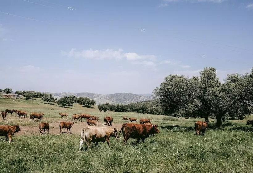 ホテル La Dehesa De Don Pedro