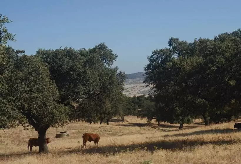 ホテル La Dehesa De Don Pedro