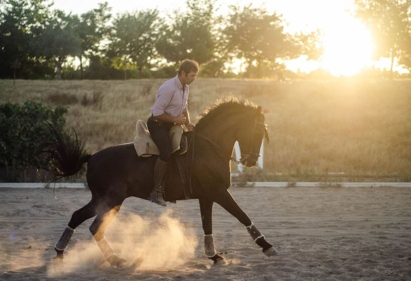 酒店 La Dehesa De Don Pedro