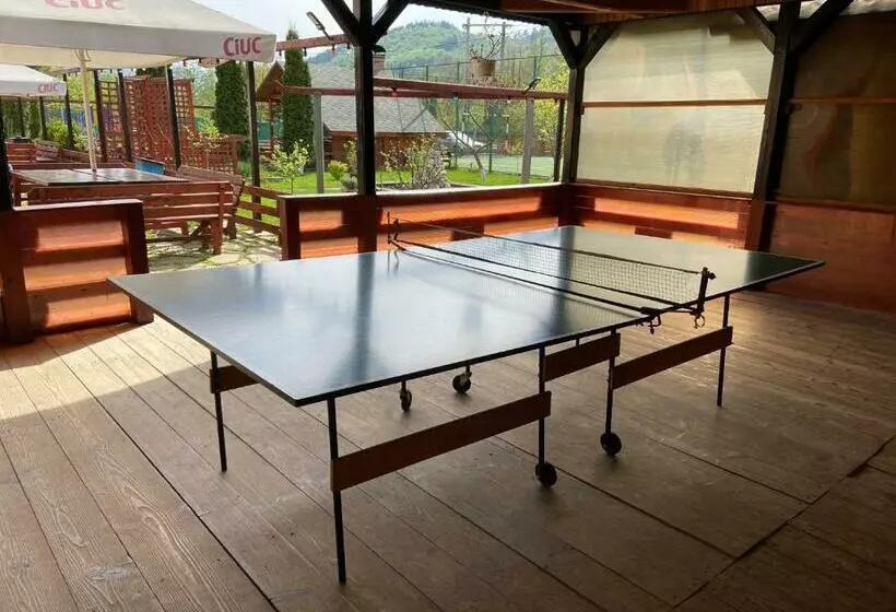 Pensiunea Montana Varlaam