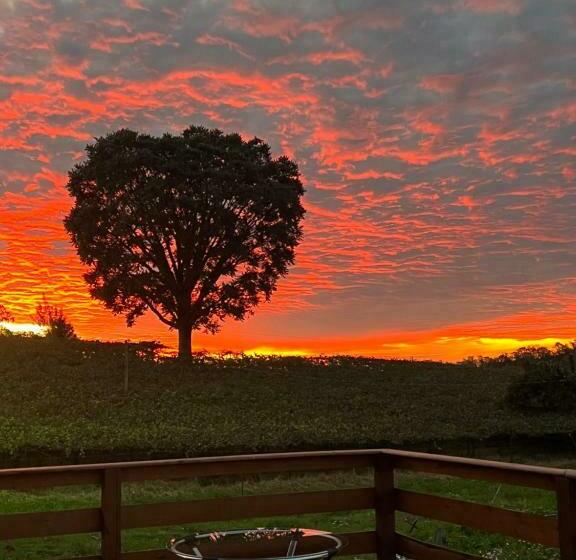 Pansiyon Capanna Del Vale Vale Dos Vinhedos Hospedagem Com Degustação Personalizada Na Vinícola Dom Cândi