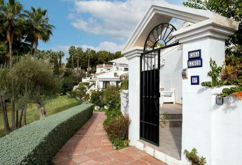 Tetuan 37 Oasis Properties