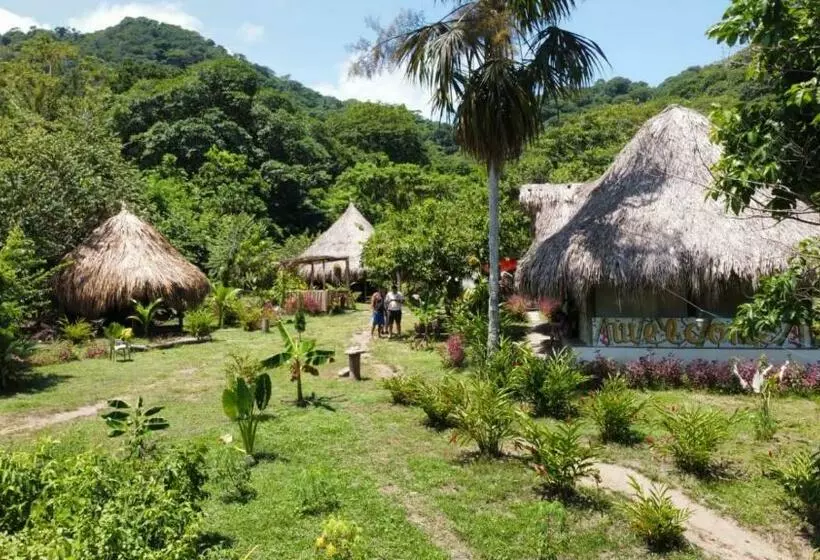 ユースホステル Hostal Zirumake Dentro Del Parque Tayrona