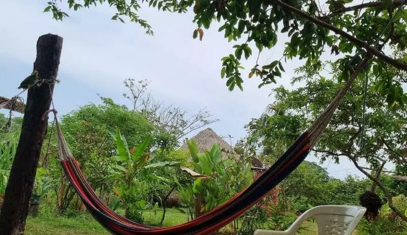 ユースホステル Hostal Zirumake Dentro Del Parque Tayrona