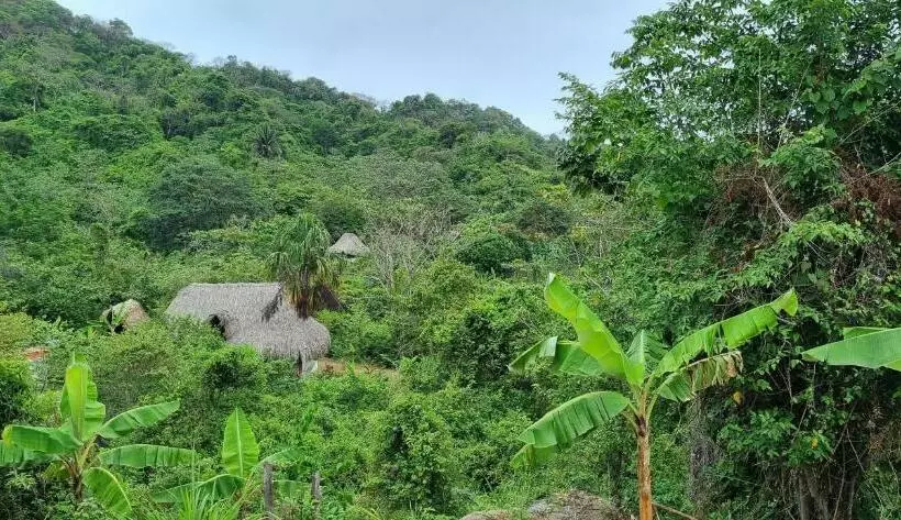 ユースホステル Hostal Zirumake Dentro Del Parque Tayrona
