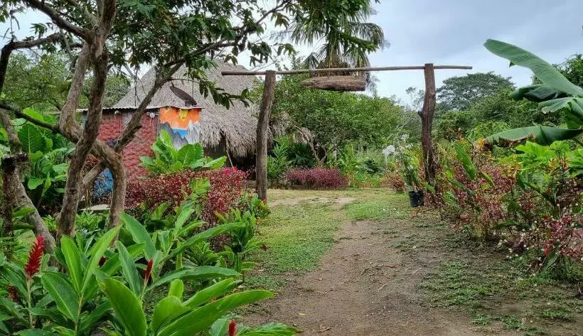 ユースホステル Hostal Zirumake Dentro Del Parque Tayrona