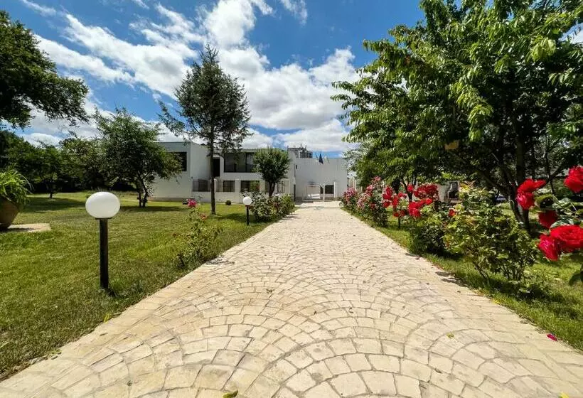 Avenue Venus   Avenue Hotels