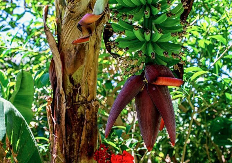 בית מלון כפרי Emblematico San Marcos