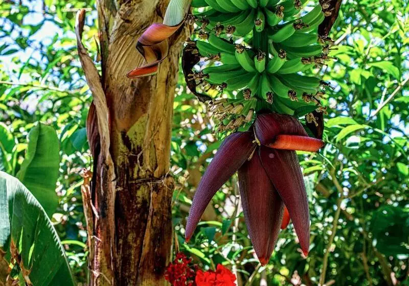 Hotel Emblematico San Marcos