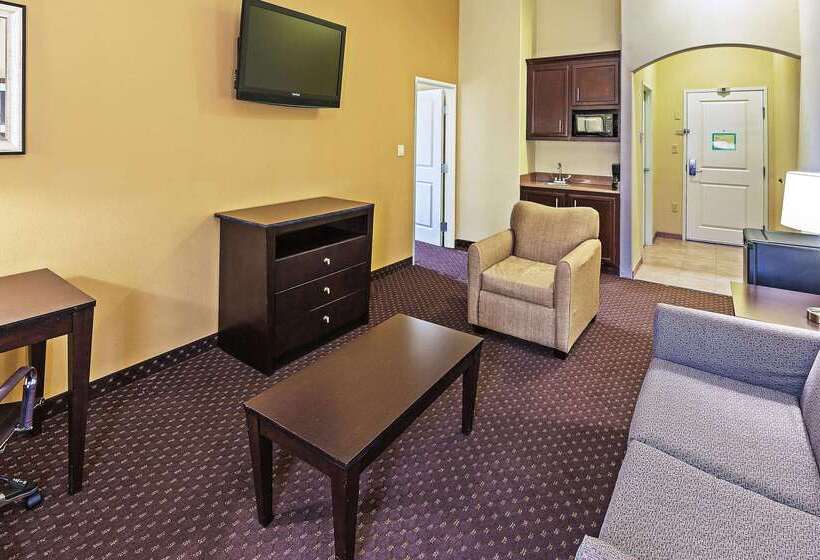 ホテル La Quinta By Wyndham Alvin