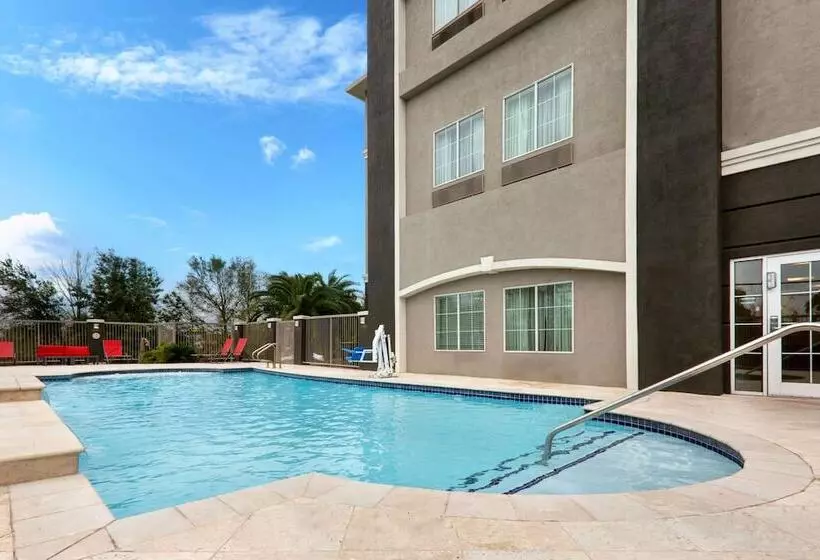 酒店 La Quinta By Wyndham Alvin