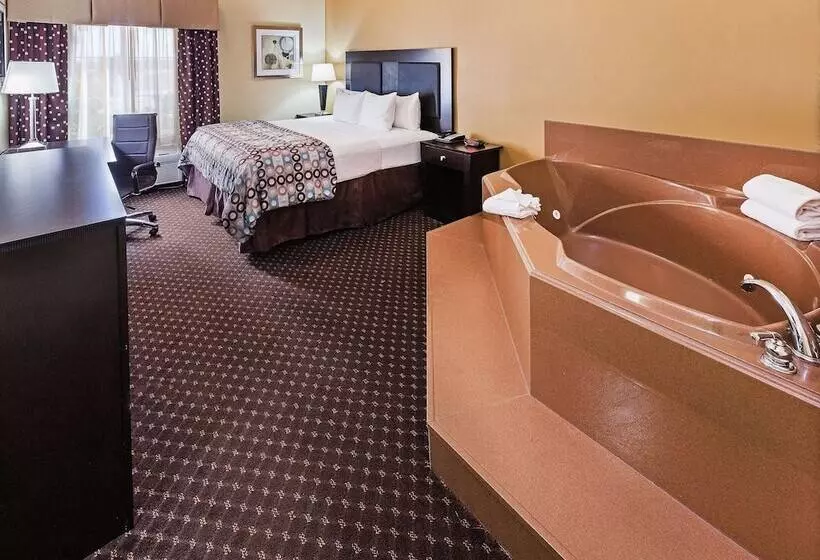 酒店 La Quinta By Wyndham Alvin