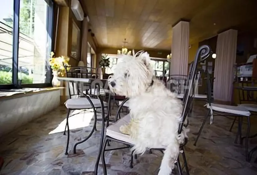 هتل Spiaggia Marconi