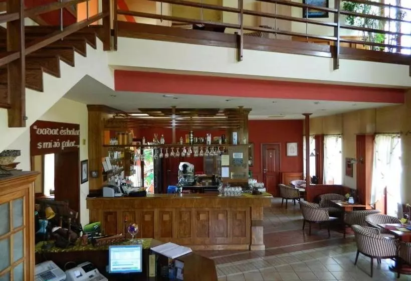 هتل Vadász Panzió és étterem