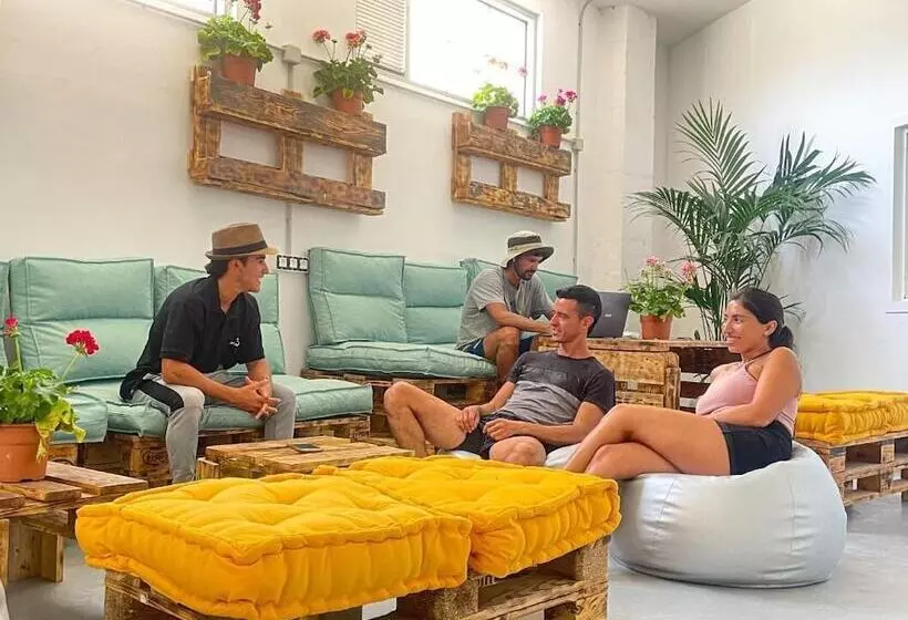 Medano Nest Hostel