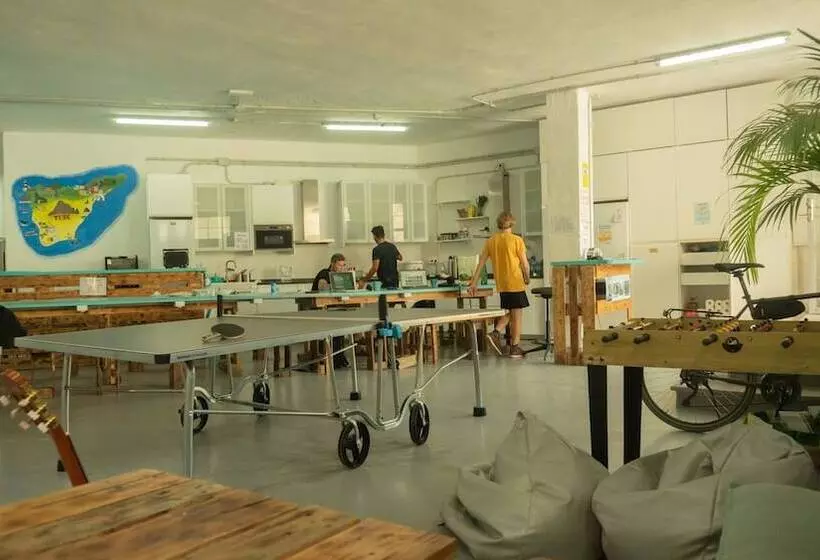 Medano Nest Hostel