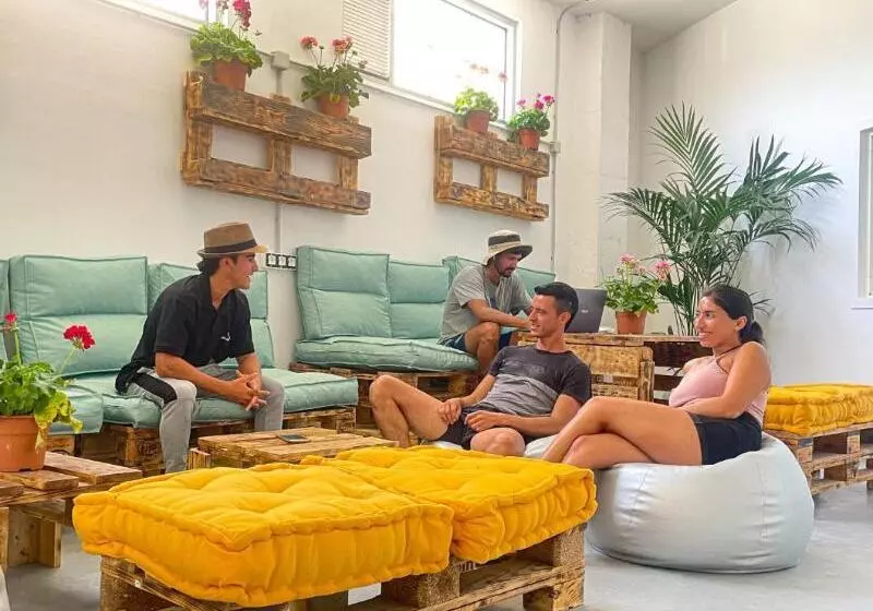 Medano Nest Hostel