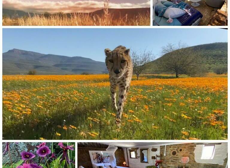 膳宿费 Iziba Principality