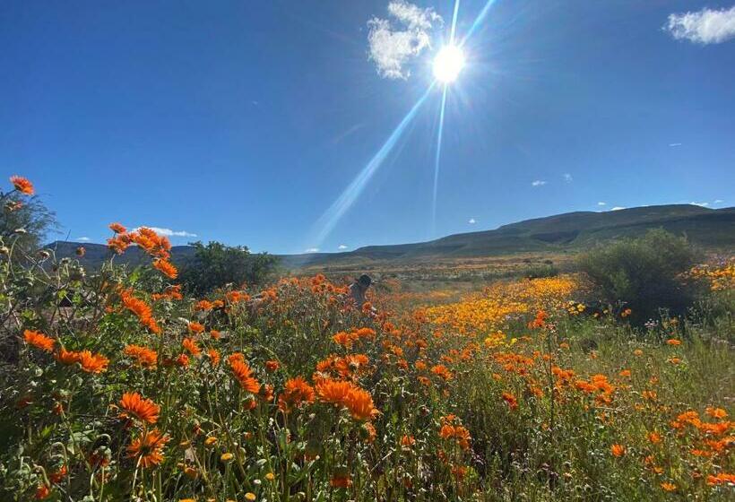 膳宿费 Iziba Principality