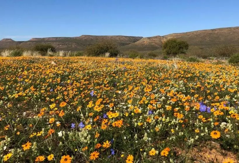 Majatalo Iziba Principality