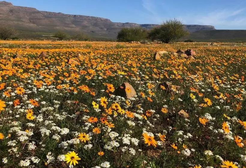 Majatalo Iziba Principality