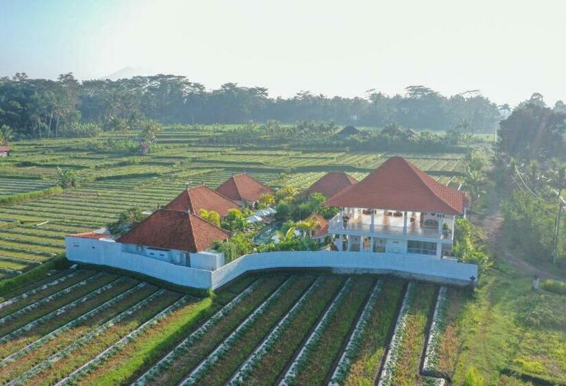 Resort Tulus Hati Ubud Retreat