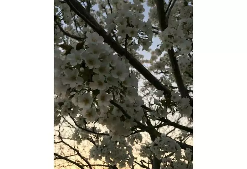 Majatalo Family House 2f   Vacation Stay 12940