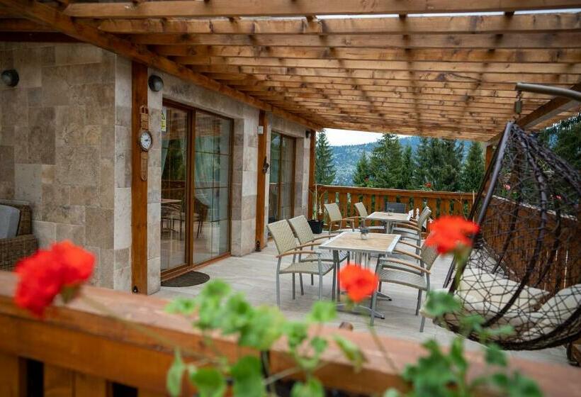 پانسیون Poiana Brazilor