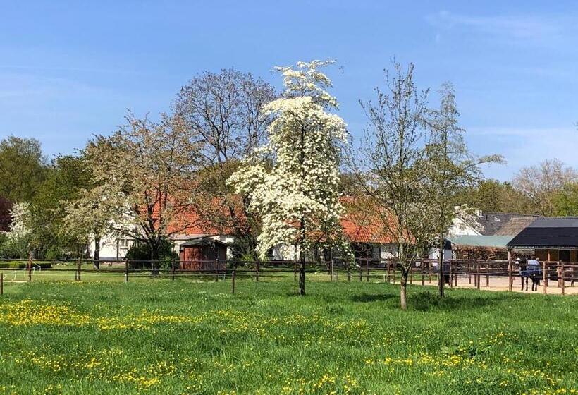 민박 Horse And Hound