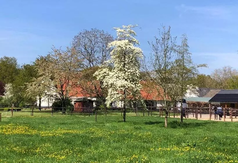 Aamiaismajoitus (B&B) Horse And Hound