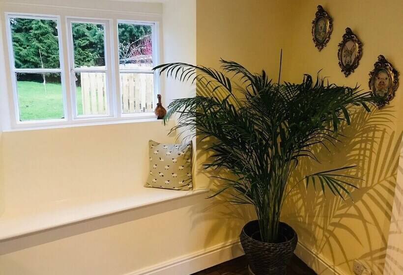 Hengoed Hideaway Spacious 3 Bed House