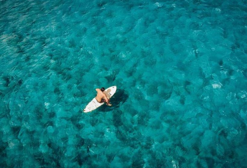 هاستل 小帳篷