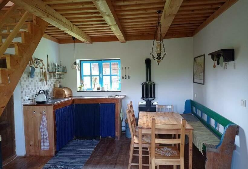 旅馆 Babou Maramures