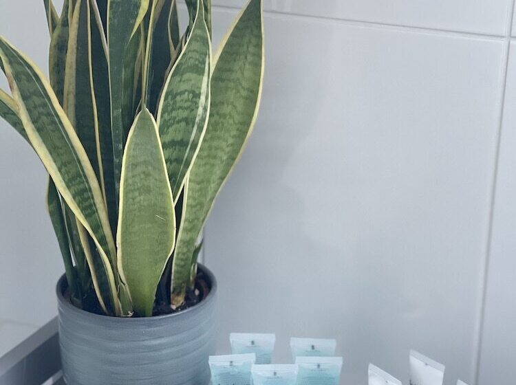 ベッドアンドブレックファースト City Stay Scotland