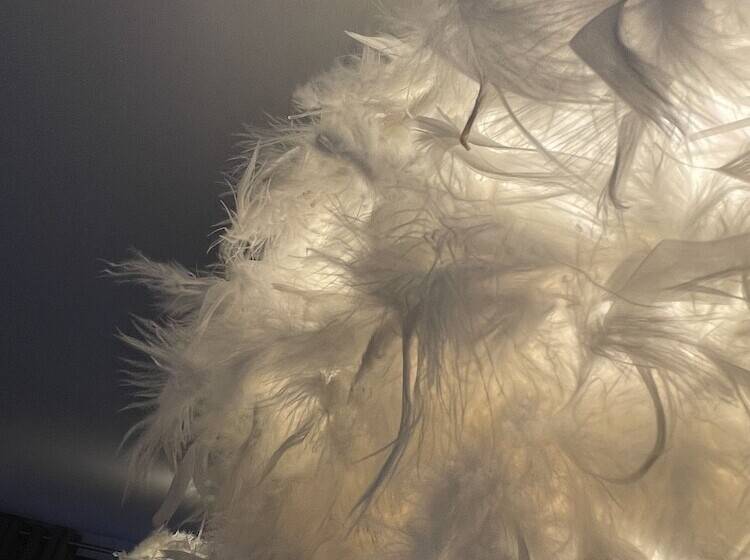 ベッドアンドブレックファースト City Stay Scotland