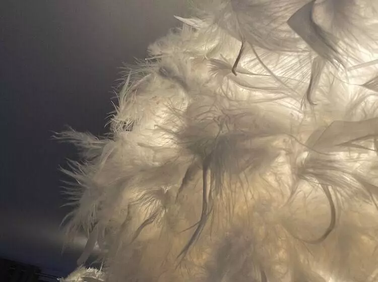 تختخواب و صبحانه City Stay Scotland